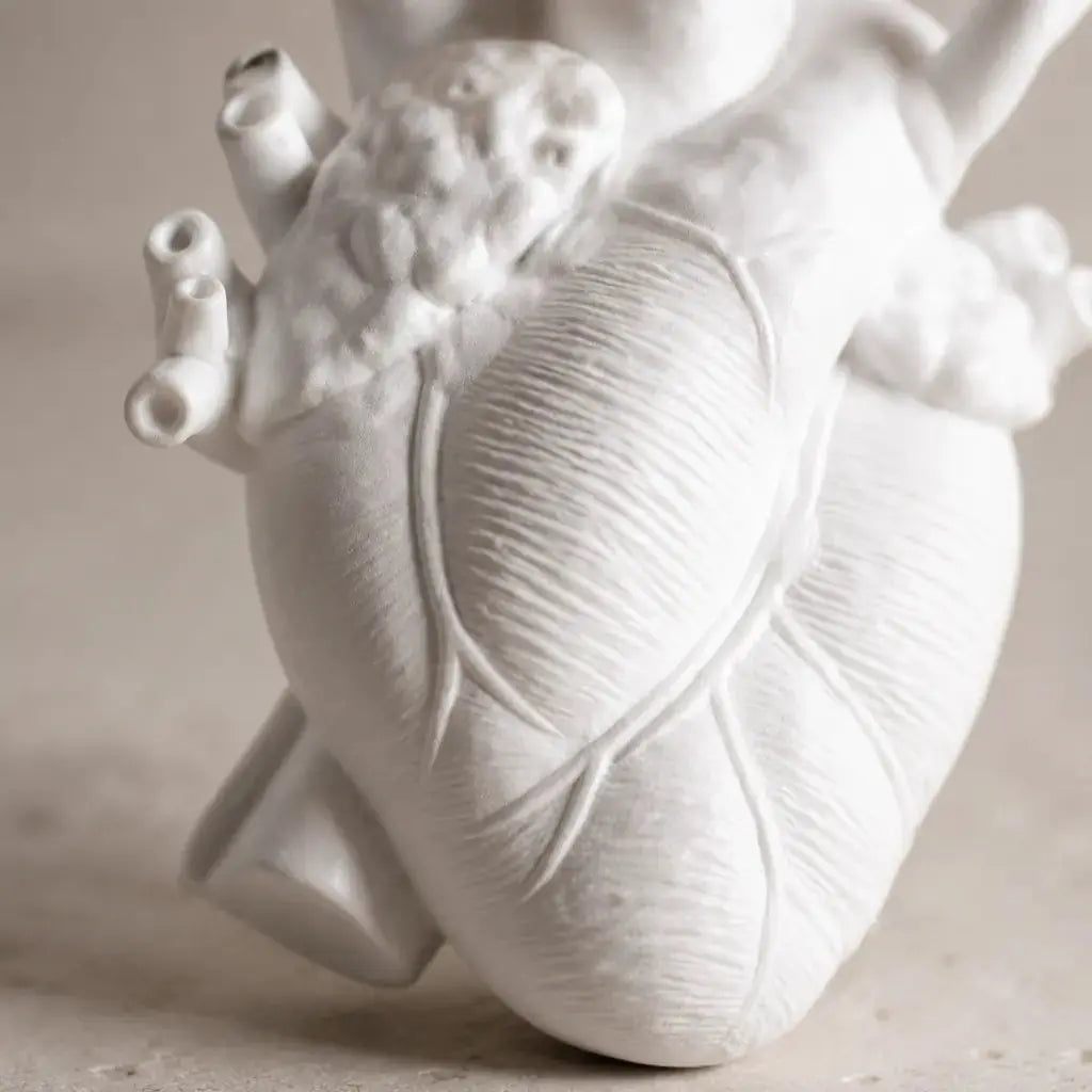 Anatomical Heart Decorative Vase for Dried Flowers – Resin Indoor Decor in White, Pink, Black, Small and Large Sizes 6