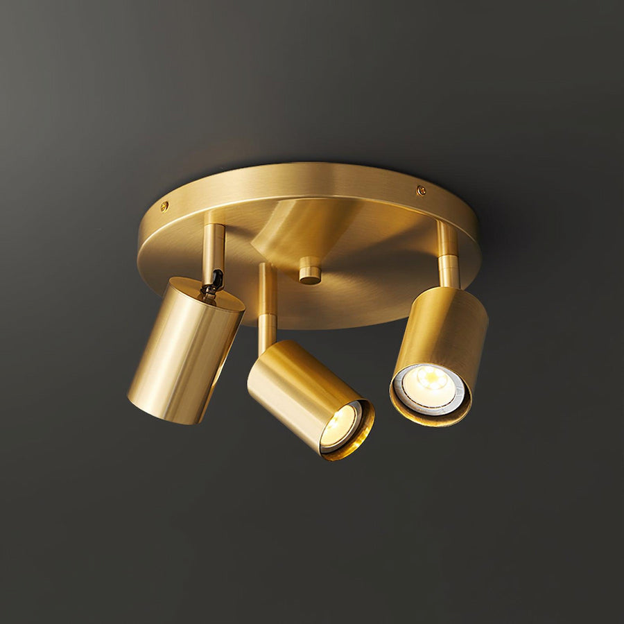 Elvirae | Adjustable Brass Multi-Head Ceiling Light for Modern Illumination 9