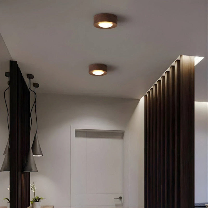 Raviona Elegant Adjustable LED Ceiling Spotlight for Kitchen Lighting 72