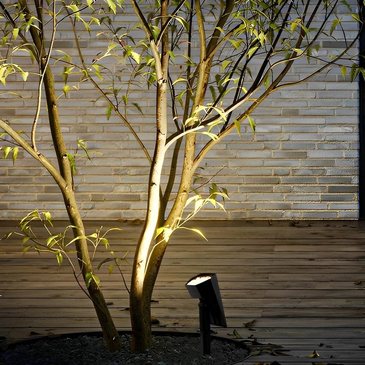 Sunpeak solar spotlight uplighting a tree against a garden wall in warm white