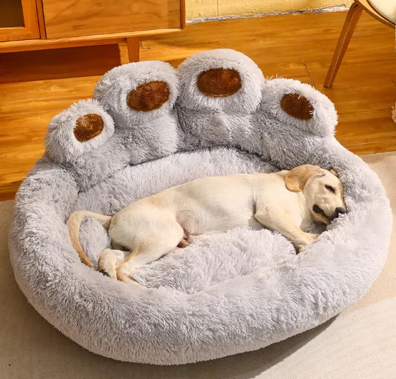 Pet Supplies