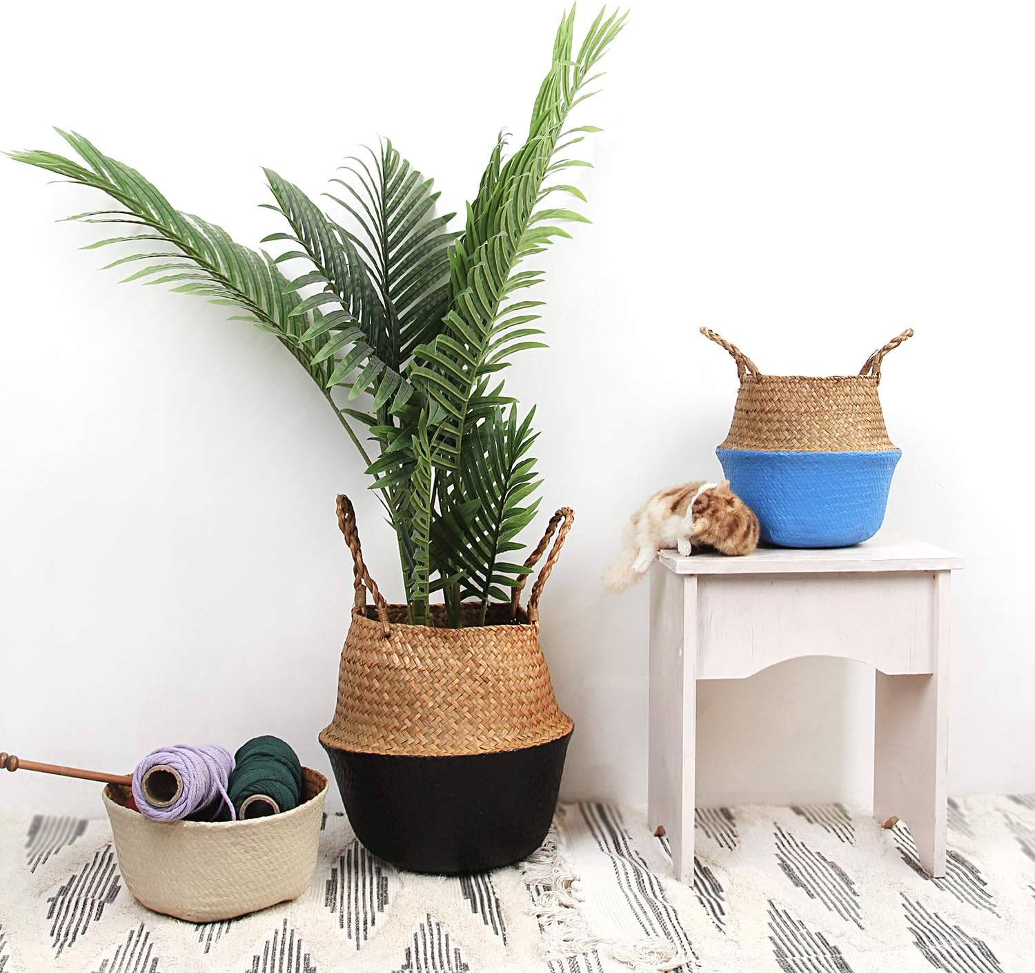Planters