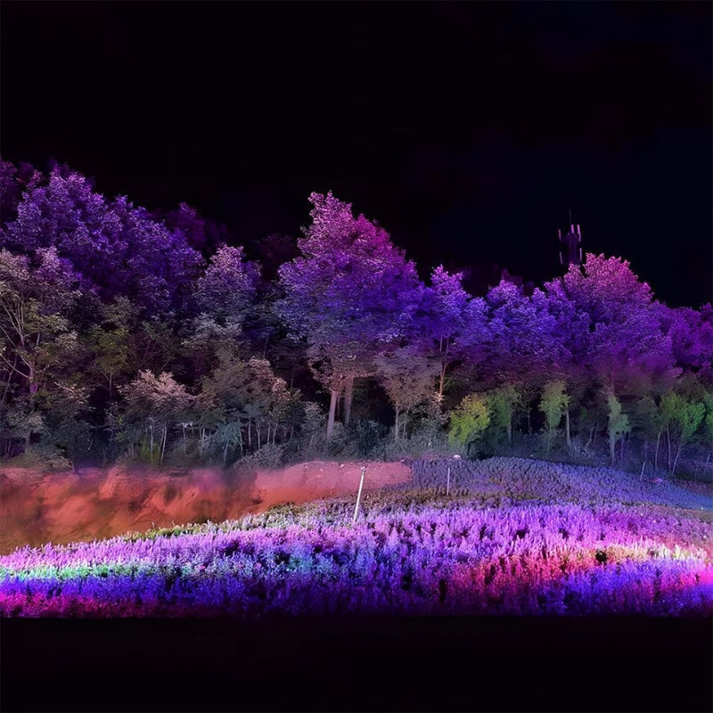 Orluna | RGB LED Outdoor Spotlight for Vibrant Garden Lighting