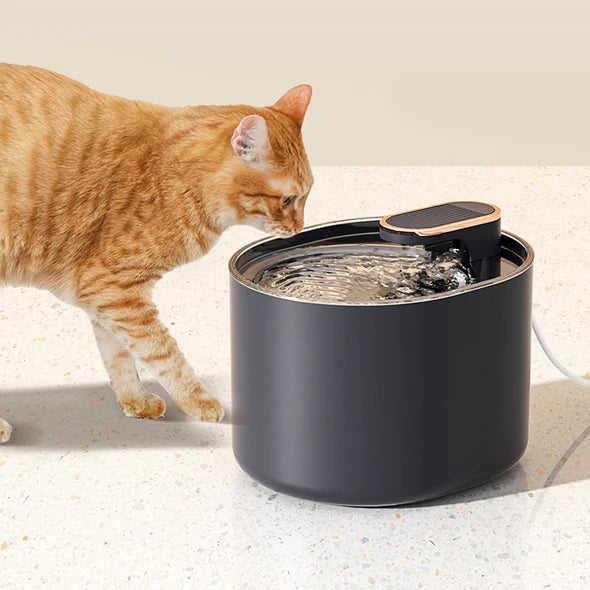 Feline Fountain | Quiet Cat Fountain in Black Or White with Night Light